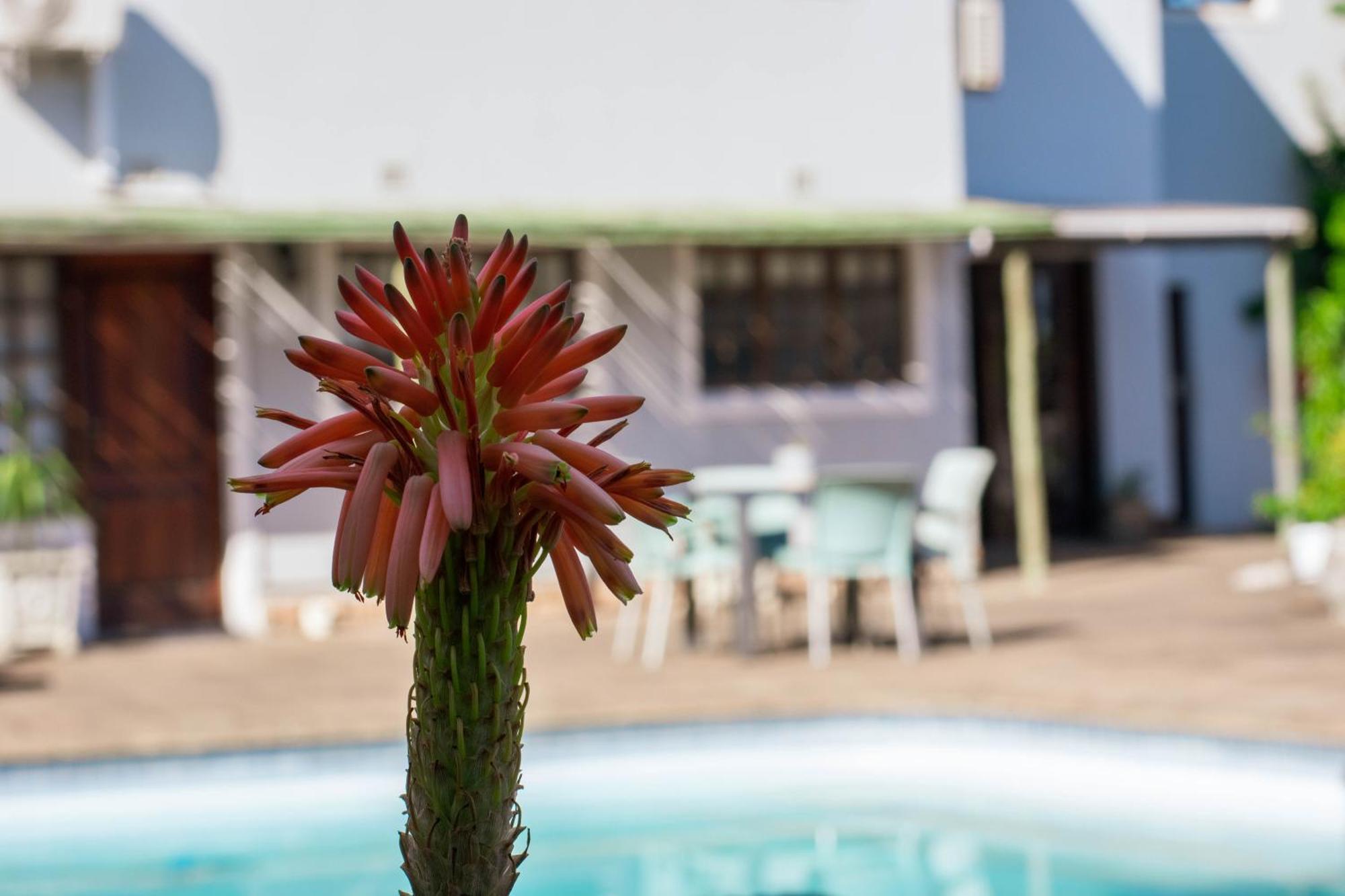 African Sands B&B Amanzimtoti Bagian luar foto