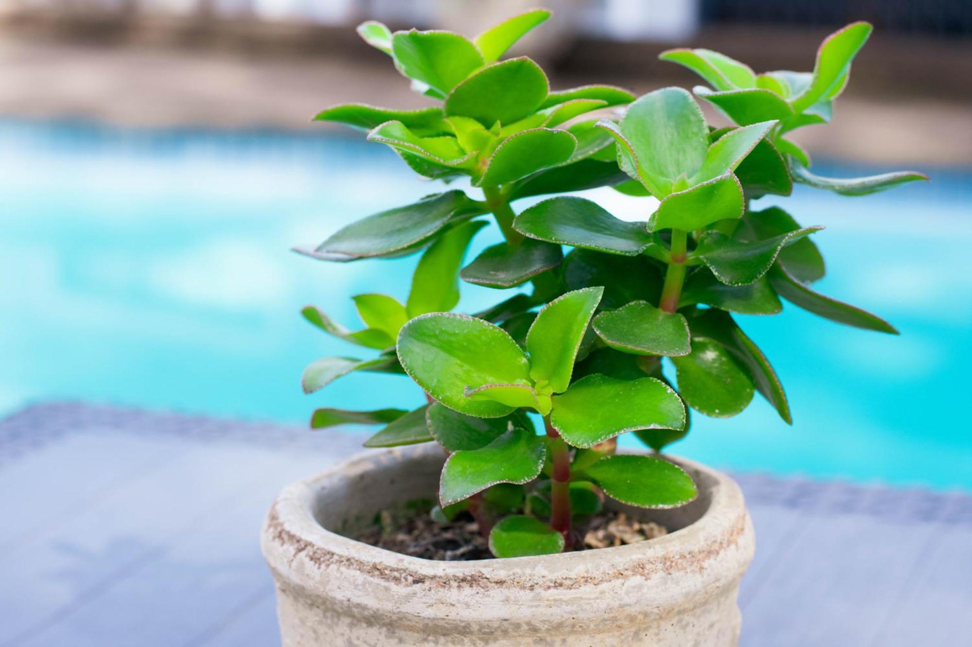 African Sands B&B Amanzimtoti Bagian luar foto